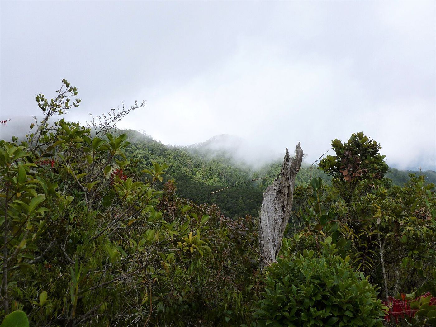 Cusuco National Park