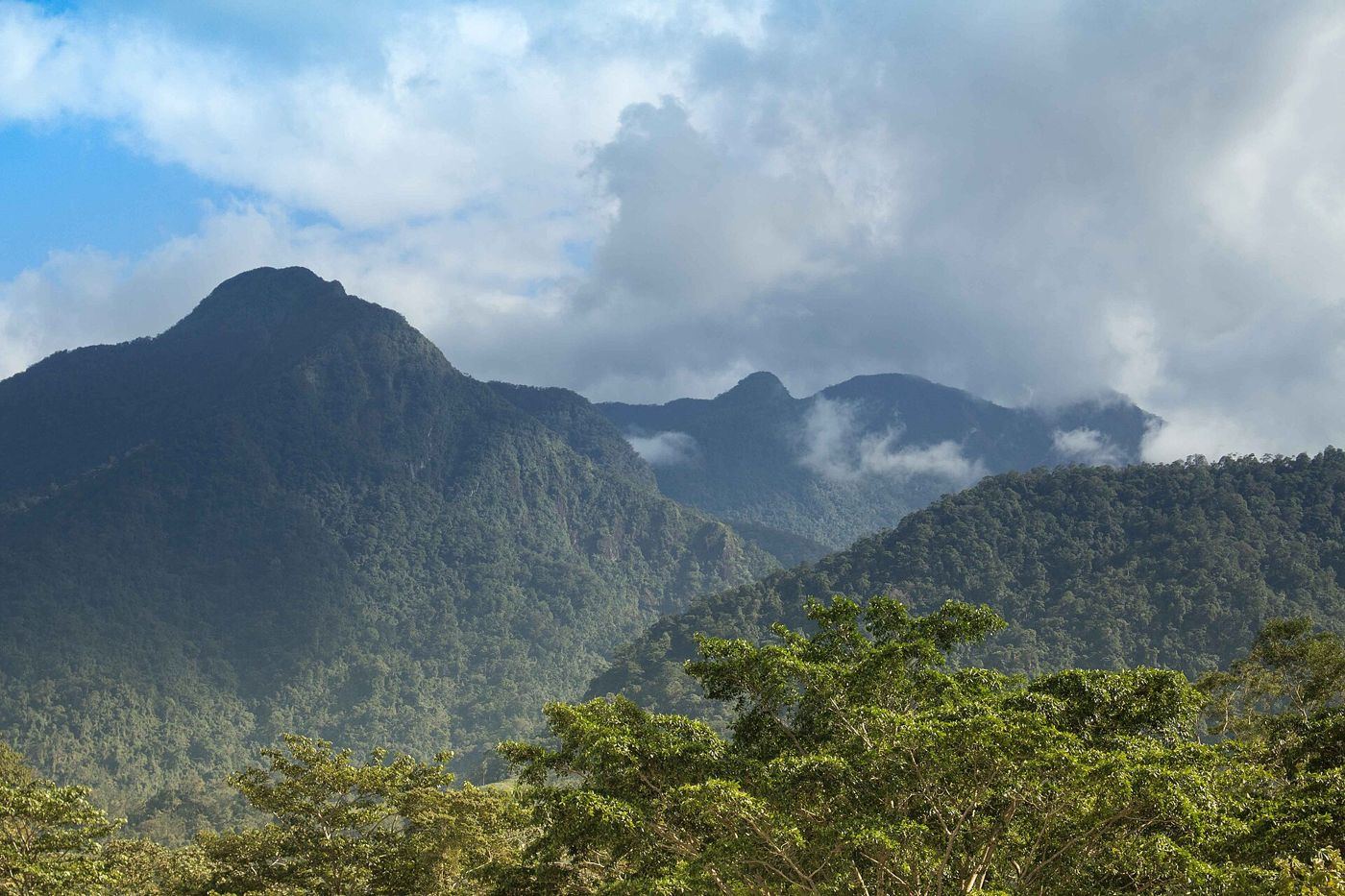 Pico Bonito and the Cangrejal River